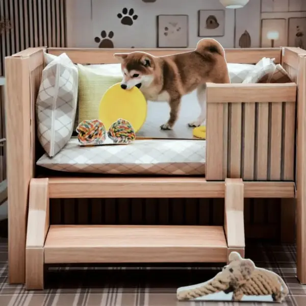 狗狗玩具禮盒-5