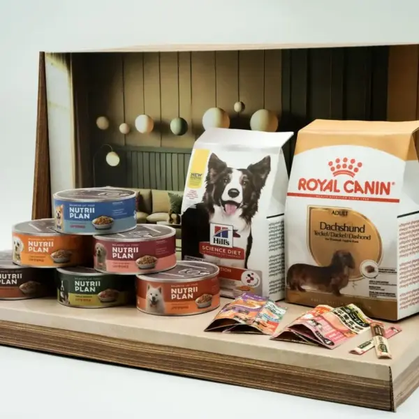 紙紮狗狗罐頭禮盒-3