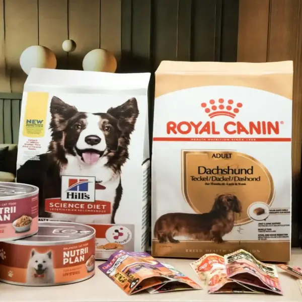 紙紮狗狗罐頭禮盒-5