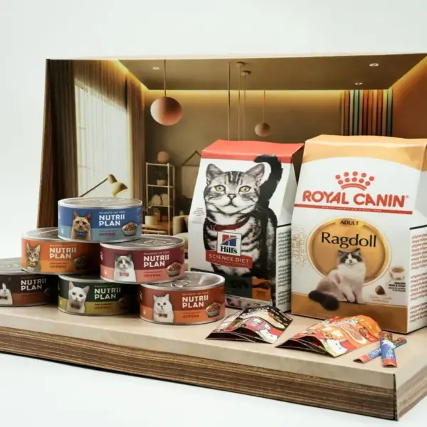 紙紮貓咪罐頭禮盒-3